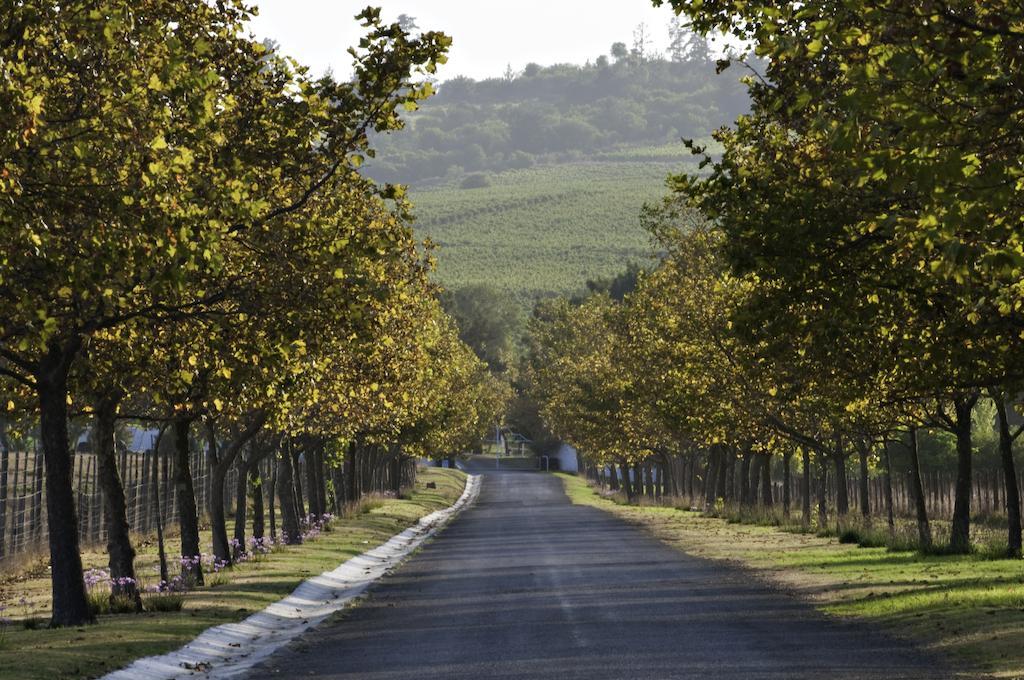 Saxenburg Wine Farm Διαμέρισμα Kuils River Εξωτερικό φωτογραφία